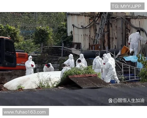 东方日报即时新闻：全市强化防疫措施应对新一波疫情蔓延 确保居民健康安全