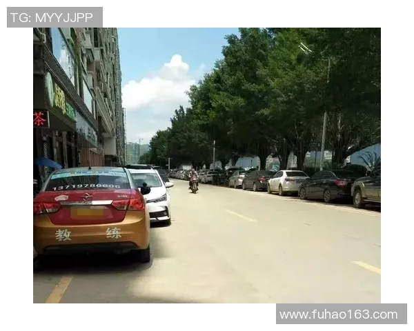 城市停车难引发居民怒怼政府 政策改革未见成效市民生活困扰加剧