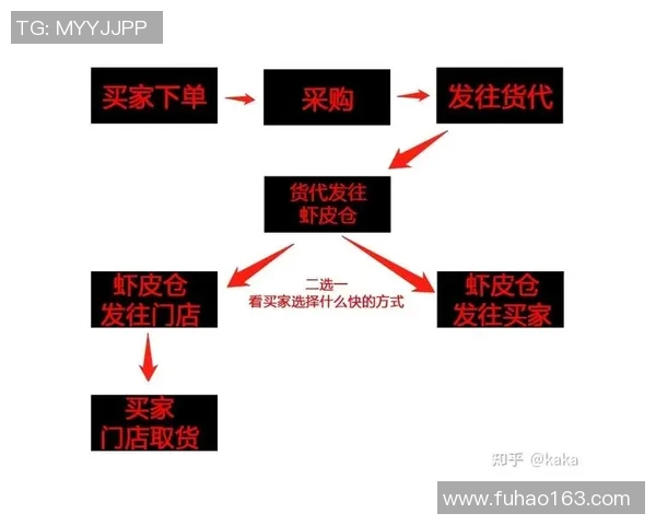 无货源跨境电商模式如何轻松实现全球创业与高效盈利