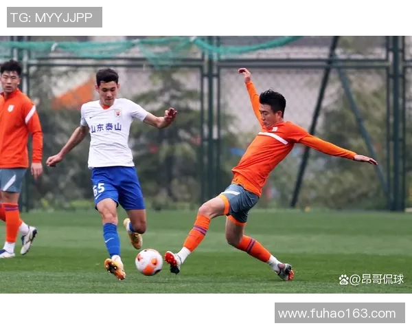 上海东方大鲨鱼迎战浙江广厦强强对决引发球迷热议与期待