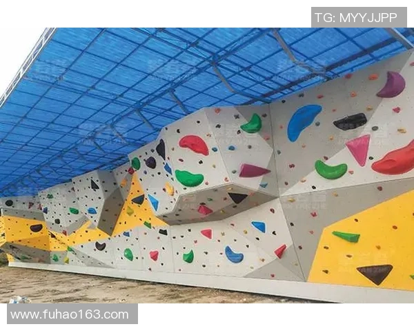 杭州攀岩队心理素质深度对比分析与训练策略探讨