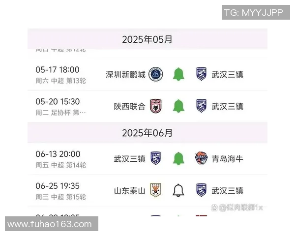 深圳中超联赛的赛事安排与队伍发展